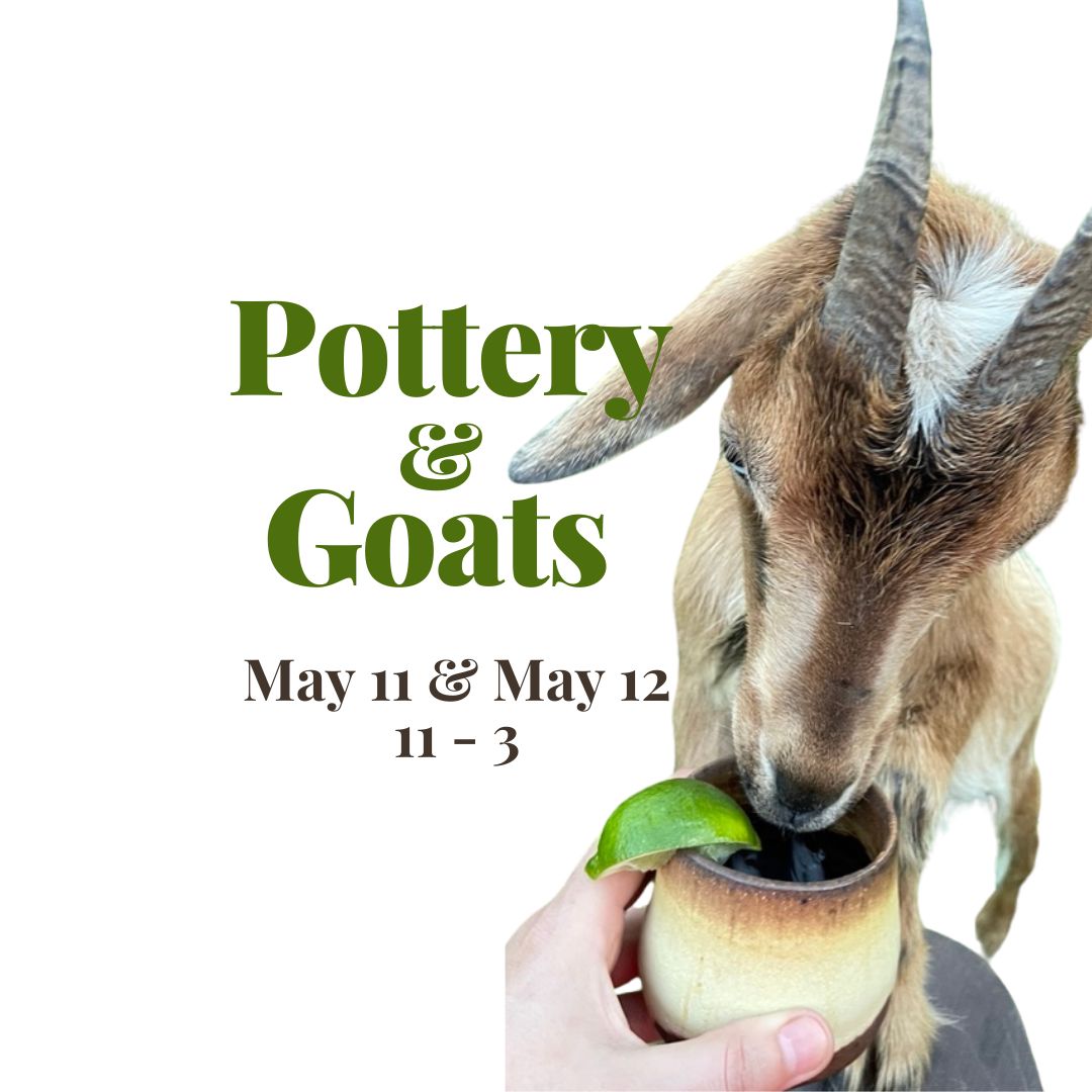 Pottery & Goats