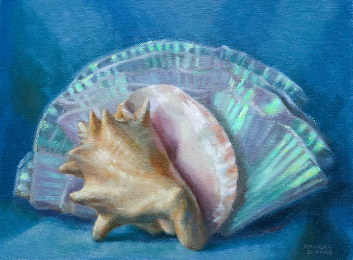 Drawing & Painting Seashells I with Annalisa Shanks