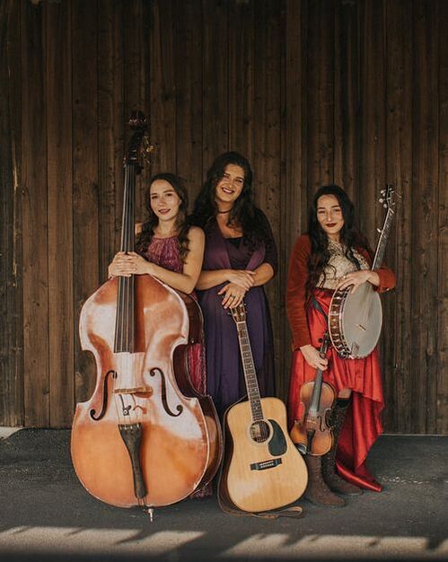 The Flybirds