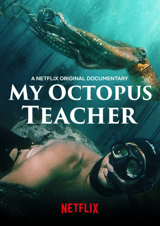 Movies That Move: “My Octopus Teacher”