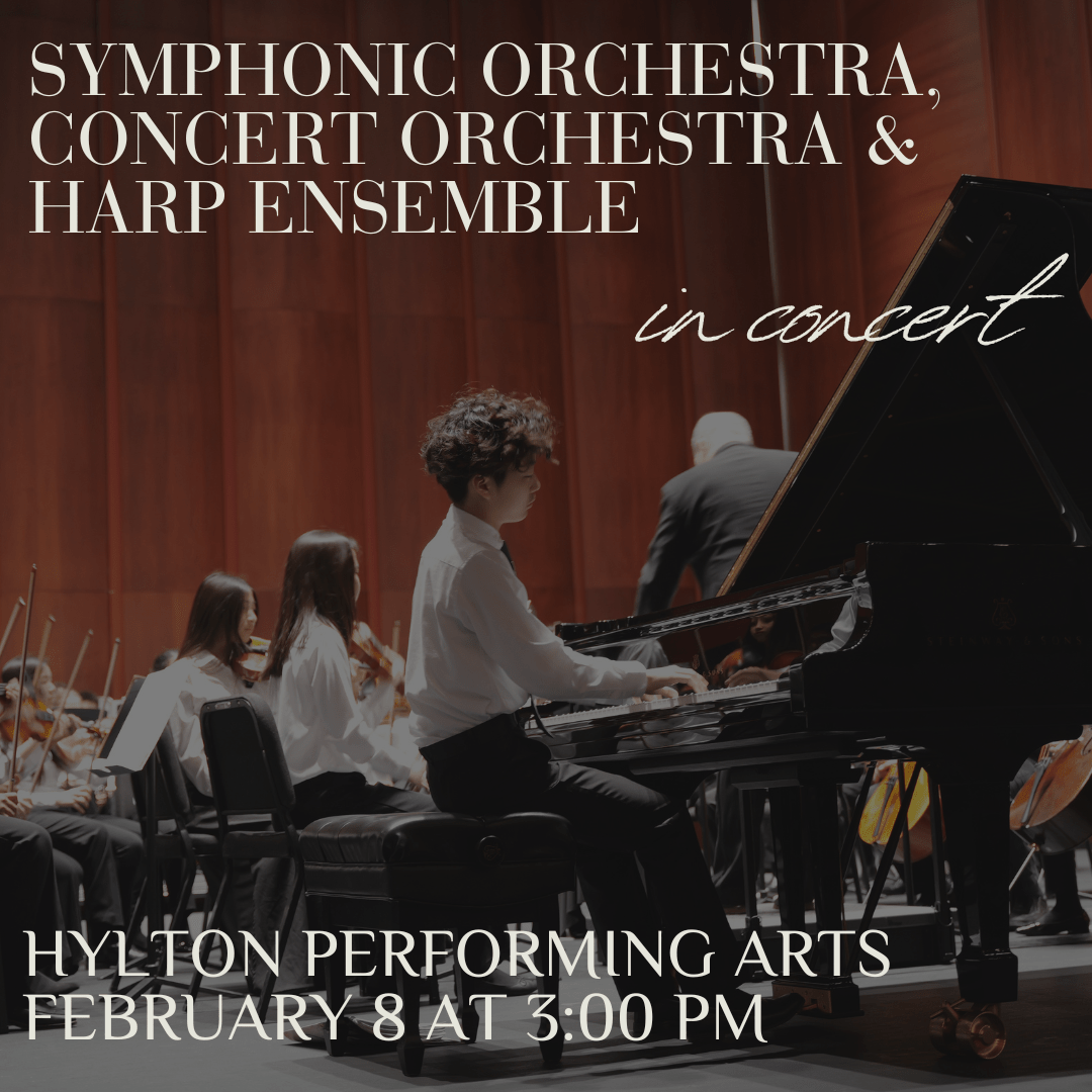 Harp Ensemble, Concert Orchestra & Symphonic Orchestra in Concert