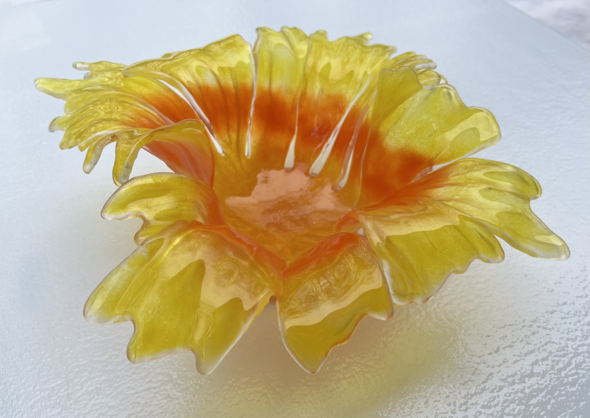 New Artist at Nepenthe Gallery: SHONA  D’CRUZ