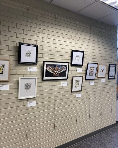Ariane D'Souza's artwork on display at the Braddock District Office